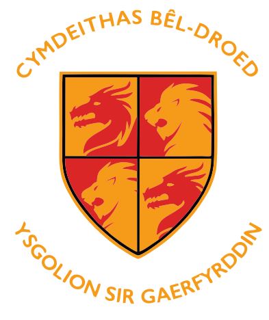 Carmarthenshire Schools Girls.
