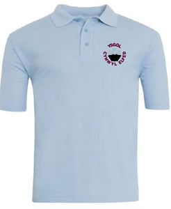 Ysgol Cynwyl Elfed Polo