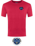 Bancyfelin Badged PE T shirt