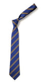 Brecon High School Tie